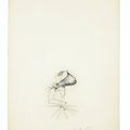 Salvador Dalí — Песни Мальдорора : 22 гравюры, изображение 22