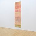 Sam Gilliam — МЛГ, изображение 4
