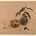 Shibata Zeshin — ШАТЕНЬ, изображение 1