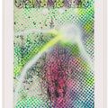 Sigmar Polke — Без названия, изображение 2