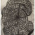 Terry Winters — Фолио, изображение 6