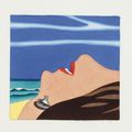 Tom Wesselmann — Портфолио морских пейзажей, изображение 3