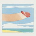 Tom Wesselmann — Портфолио морских пейзажей, изображение 5