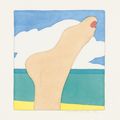 Tom Wesselmann — Портфолио морских пейзажей, изображение 6