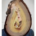 Urs Fischer — Историческое решение, изображение 1