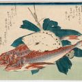 Utagawa Hiroshige — Полный набор из безымянной серии крупных рыб (Уозукуси), изображение 11