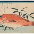 Utagawa Hiroshige — Полный набор из безымянной серии крупных рыб (Уозукуси), изображение 14