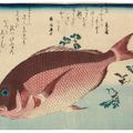 Utagawa Hiroshige — Полный набор из безымянной серии крупных рыб (Уозукуси), изображение 16