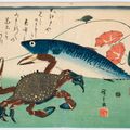 Utagawa Hiroshige — Полный набор из безымянной серии крупных рыб (Уозукуси), изображение 17
