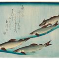 Utagawa Hiroshige — Полный набор из безымянной серии крупных рыб (Уозукуси), изображение 3