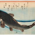 Utagawa Hiroshige — Полный набор из безымянной серии крупных рыб (Уозукуси), изображение 21
