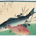Utagawa Hiroshige — Полный набор из безымянной серии крупных рыб (Уозукуси), изображение 4