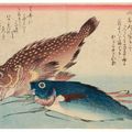 Utagawa Hiroshige — Полный набор из безымянной серии крупных рыб (Уозукуси), изображение 9