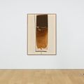 Victor Pasmore — Коричневая разработка, изображение 3