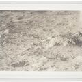 Vija Celmins — Без названия (изображение Луны), изображение 2
