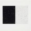 Vija Celmins — Черно-белый диптих, изображение 1