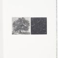 Vija Celmins — Вид из окна, изображение 2
