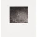 Vija Celmins — Без названия (Web 2), изображение 1