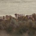 Vilhelm Hammershøi — Ландскаб. Соммер. Фра Райет вед Фарумсе, изображение 1