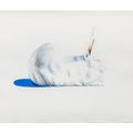 Wayne Thiebaud — Кролик, из семи натюрмортов и кролика, изображение 1