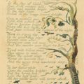 William Blake — Маленькая потерянная ДЕВОЧКА, из: Songs of Experience, изображение 1