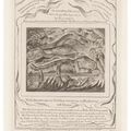 William Blake — Иллюстрации к Книге Иова. Лондон: Опубликовано в соответствии с указаниями Закона 8 марта 1825 г. Уильямом Блейком, улица Фонтейн-Корт, 3, [1825-26]., изображение 10