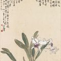 Xu Beihong — Каттлея, изображение 1