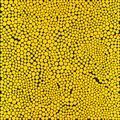 Yayoi Kusama — Одержимость точками (FOPMU), изображение 1