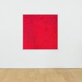 Yayoi Kusama — БЕСКОНЕЧНЫЕ СЕТИ (OOAXT), изображение 3