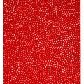Yayoi Kusama — Сети, изображение 1