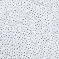Yayoi Kusama — Инфинити-сети (QPOW), изображение 9