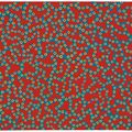 Yayoi Kusama — До уничтожения Цветочного сада, изображение 1