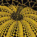Yayoi Kusama — Тыква, изображение 3