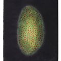 Yayoi Kusama — Цветок, изображение 1