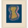 Yayoi Kusama — Цветок O.W.E, изображение 2