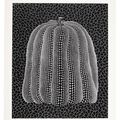 Yayoi Kusama — Тыква (белая), изображение 1