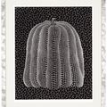 Yayoi Kusama — Тыква (белая), изображение 2