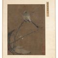 Yuan Yuan — Оазо д'Ивер, изображение 1