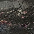 Zeng Fanzhi — Эта Земля, столь богатая красотой №1, изображение 2