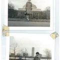 Zhang Daqian — Лотос, изображение 24