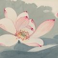 Zhang Daqian — Розовые цветы лотоса, изображение 1