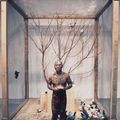 Zhang Huan — Семена Гамбурга, изображение 13