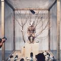 Zhang Huan — Семена Гамбурга, изображение 9