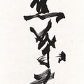 Zhao Shao'ang — Каллиграфическое двустишие, изображение 2