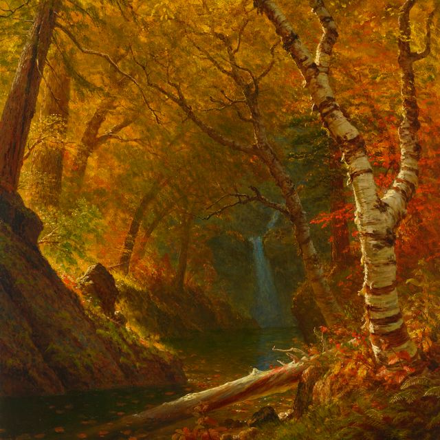 Albert Bierstadt — Лесной бассейн