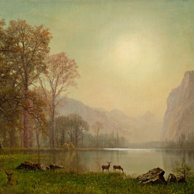 Albert Bierstadt — Рассвет в Скалистых горах