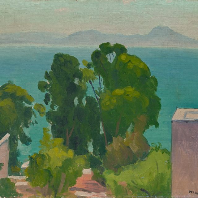 Albert Marquet — Лес эвкалиптов