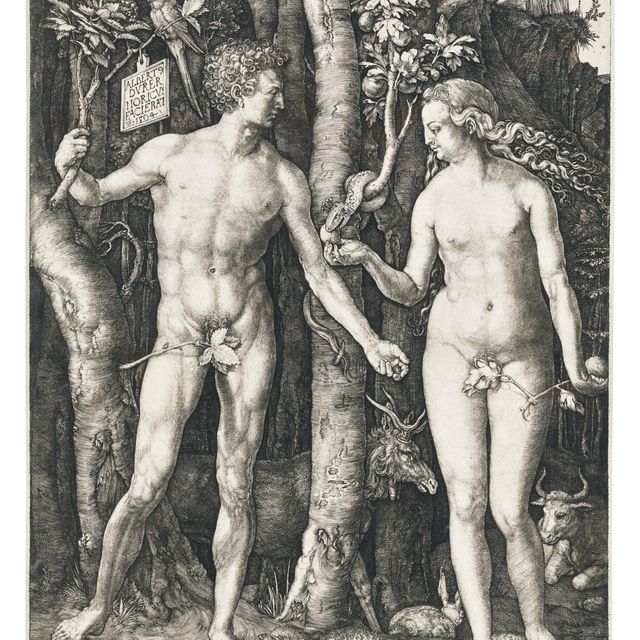 Albrecht Dürer — Адам и Ева