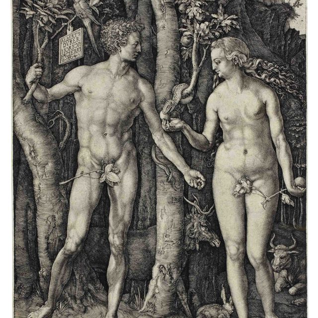 Albrecht Dürer — Адам и Ева (бакалавриат, магистратура, Зал. 1; С.М.С. 39)