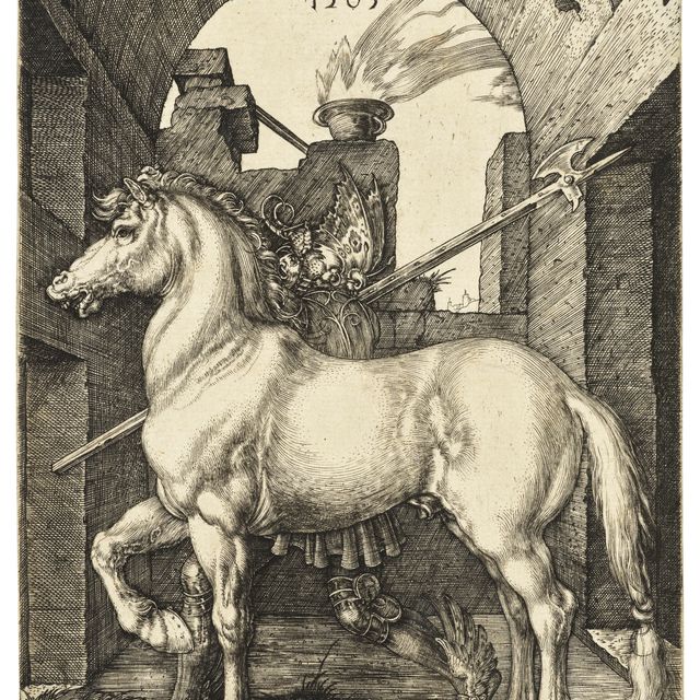 Albrecht Dürer — Маленькая лошадка